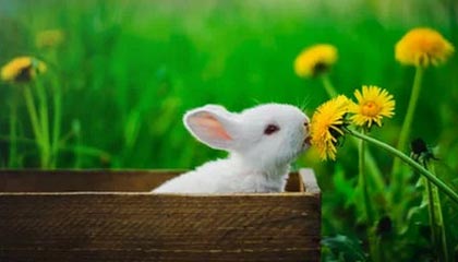 九游app下载中心-中国足球国际合作不断深化,推动青训输出与交流,中国足球青训体系是什么